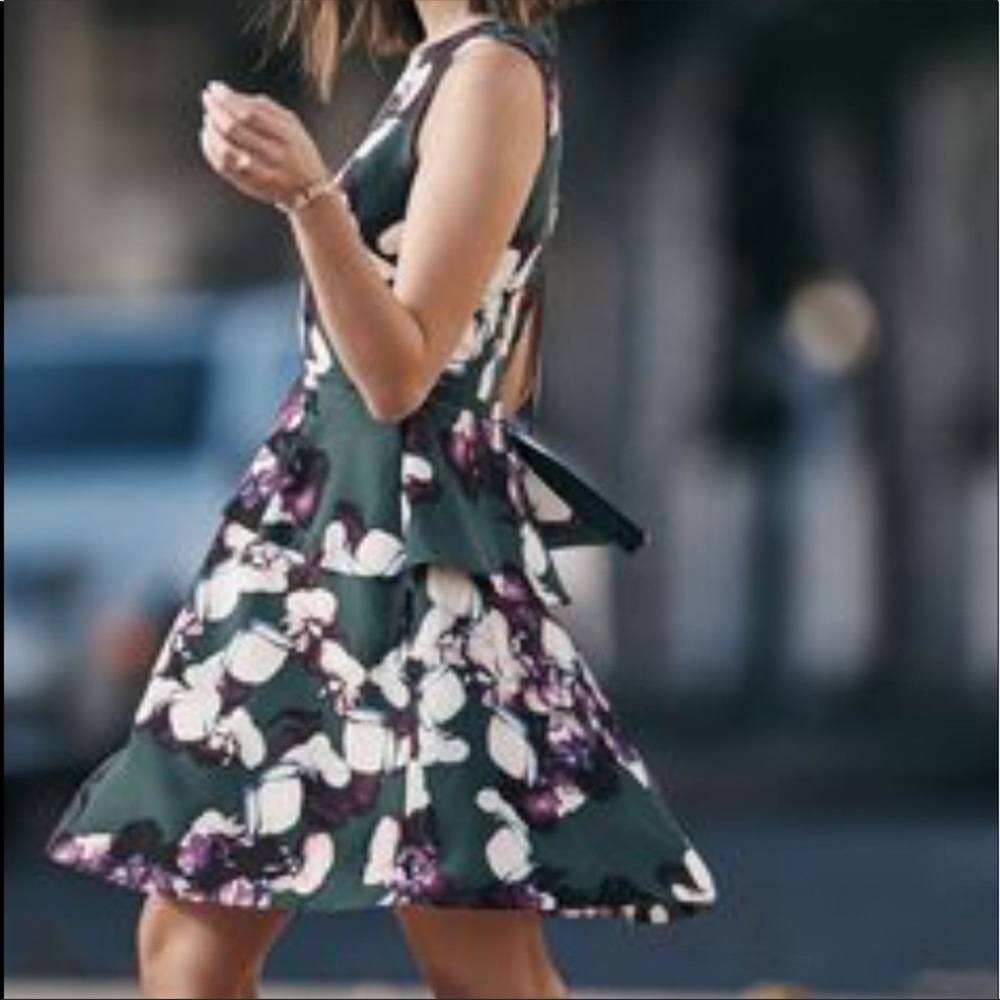 Banana Republic dress NWOT